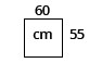 L.60 x P.55 cm