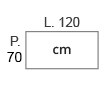 L 120 X P 70 cm